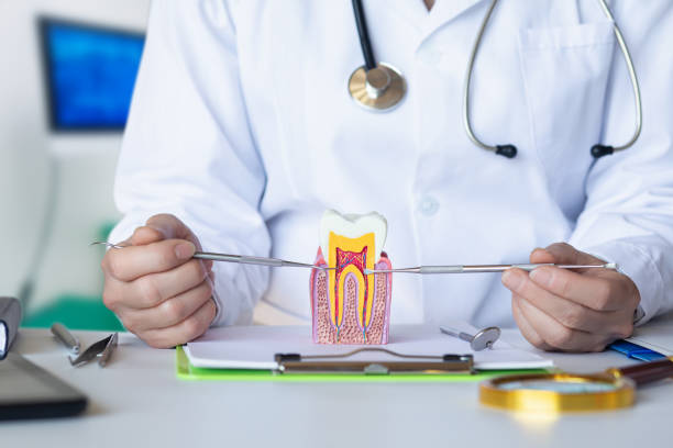Best Knocked-Out Tooth Emergency  in Isla Vista, CA